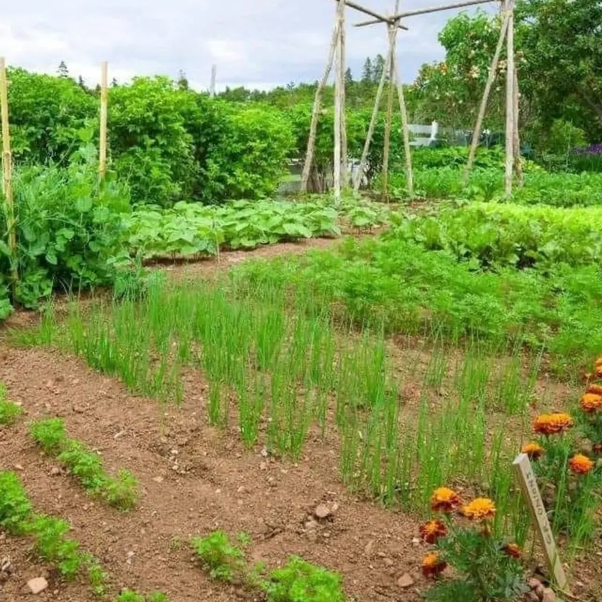 Gardening